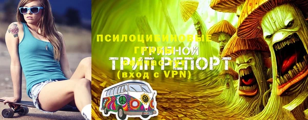 дживик Михайлов