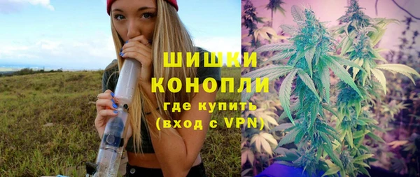 ПСИЛОЦИБИНОВЫЕ ГРИБЫ Коряжма
