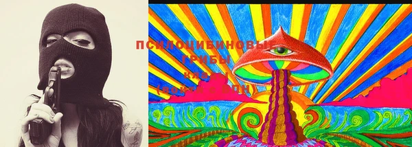МДПВ Михайловск