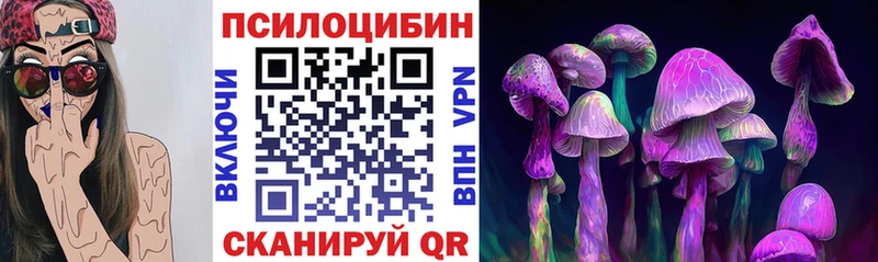 цены   площадка как зайти  Псилоцибиновые грибы GOLDEN TEACHER  Звенигово 